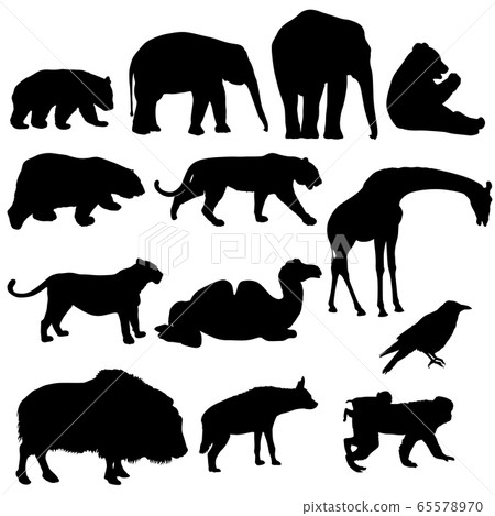 Silhouette elephant tiger bear giraffe flamingo 65578970