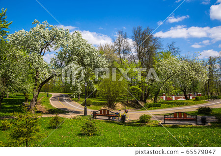 Spring in the city park Spring in the city park 65579047
