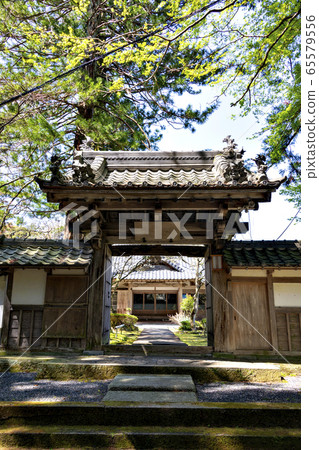 兵庫縣加藤市的花椒 兵庫縣加藤市的花椒 65579556