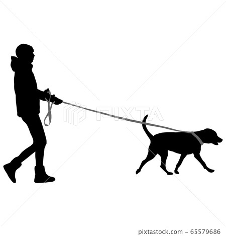 Silhouette of woman and dog on a white background Silhouette of woman and dog on a white background 65579686