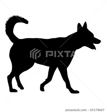 Shepherd dog black silhouette on white background 65579687