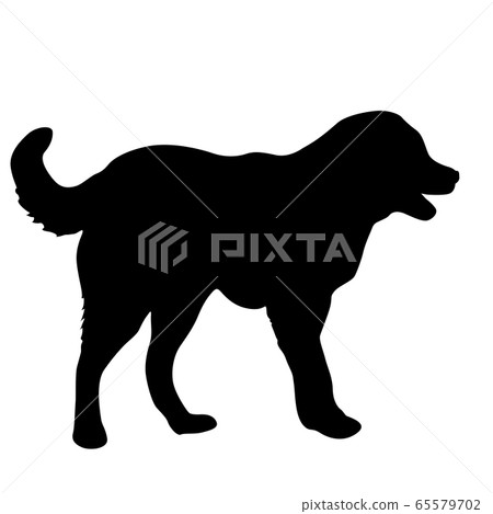 Shepherd dog black silhouette on white background. Shepherd dog black silhouette on white background. 65579702