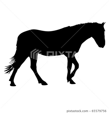 silhouette of black mustang horse vector silhouette of black mustang horse vector 65579756