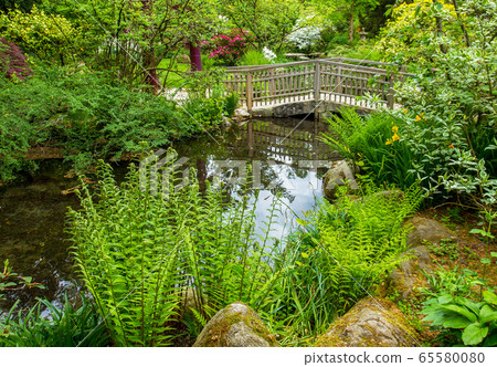 Amazing wooden footpath bridge in Leverkusen in Amazing wooden footpath bridge in Leverkusen in 65580080