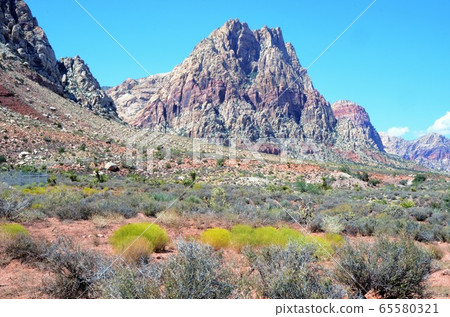 Red Rock Canyon Park near Las Vegas 65580321