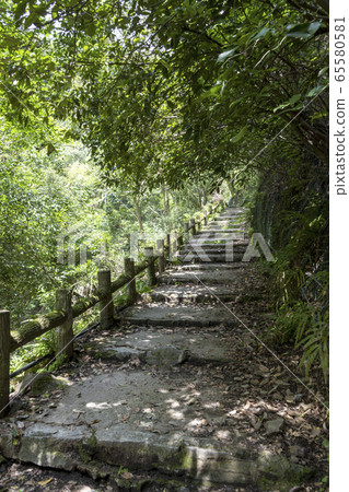 Hiking trail to Minoh Falls Hiking trail to Minoh Falls 65580581