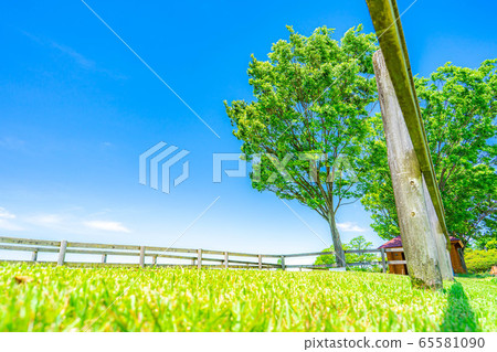 清新的綠色和藍天牧場景觀[愛知縣] 65581090