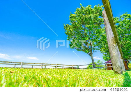 Fresh green and blue sky ranch landscape [Aichi Prefecture] 65581091