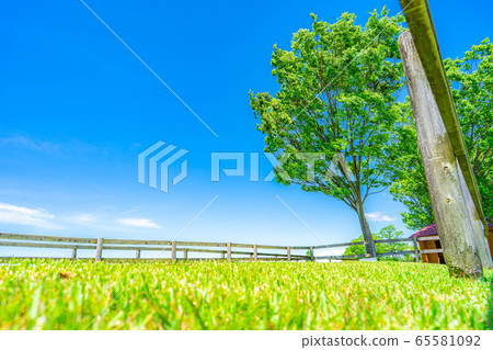 清新的綠色和藍天牧場景觀[愛知縣] 65581092