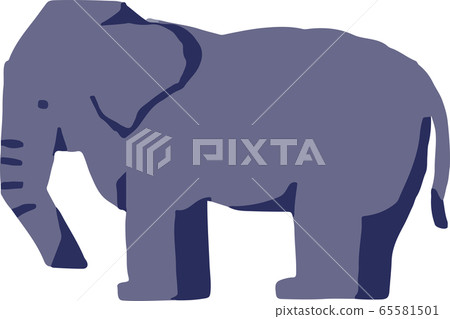 elephant  65581501