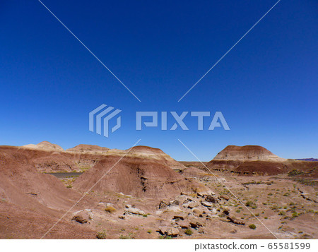 Painted dessert 65581599