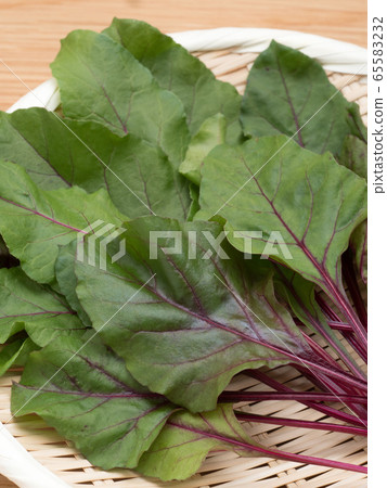 Herb beet Herb beet 65583232