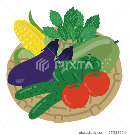 Vegetable summer vegetables set Vegetable summer vegetables set 65583234
