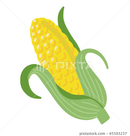 Corn Corn Corn Vegetable Summer Vegetables Corn Corn Corn Vegetable Summer Vegetables 65583237