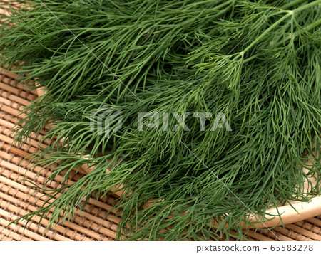 草藥蒔蘿 65583278