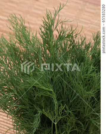 草藥蒔蘿 65583280