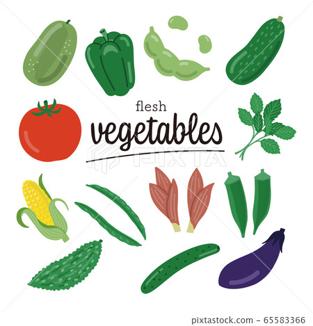 Vegetable summer vegetables set Vegetable summer vegetables set 65583366