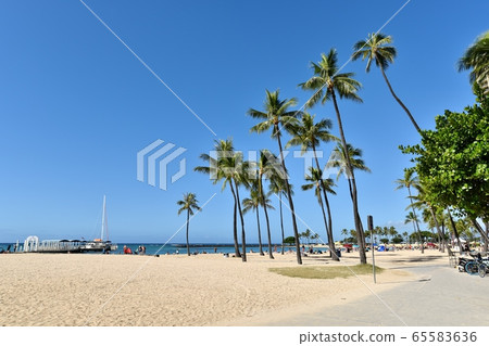 Holidays in Hawaii Holidays in Hawaii 65583636