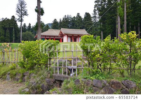 我去了Enichiji寺#57的廢墟 我去了Enichiji寺#57的廢墟 65583714