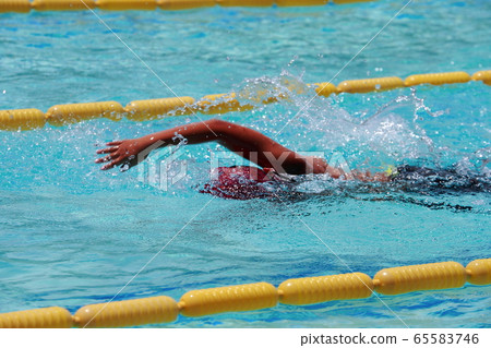 Swimming competition 65583746