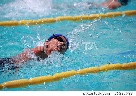Swimming competition Swimming competition 65583788