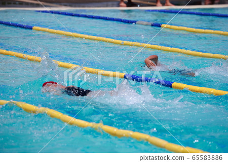 Swimming competition Swimming competition 65583886
