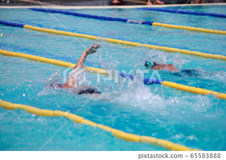 Swimming competition 65583888