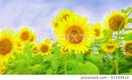 Summer memories picture diary sunflower field Summer memories picture diary sunflower field 65584616