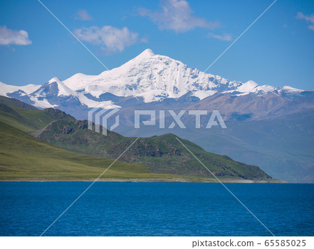 Rasa Campa La 65585025