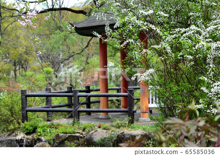 五月山形野花花園 65585036