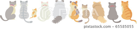 Various back views of cats Various back views of cats 65585055
