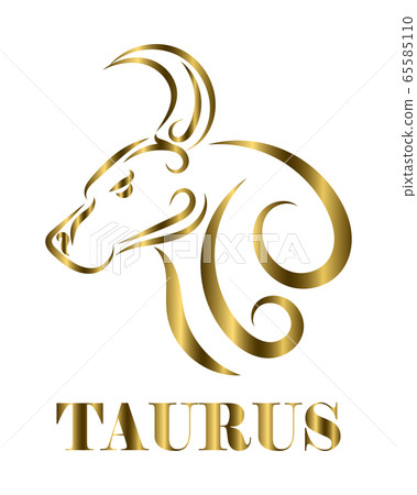 Golden line Vector Illustration of Bull. It is signs of the taurus zodiac. Golden line Vector Illustration of Bull. It is signs of the taurus zodiac. 65585110