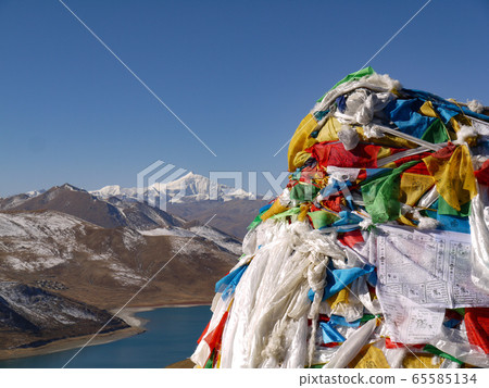 Rasa Campa La 65585134