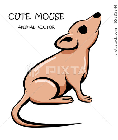 Vector illustration cartoon on a white background of a cute mouse. Vector illustration cartoon on a white background of a cute mouse. 65585844