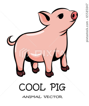 Vector illustration cartoon on a white background of a cute pig. Vector illustration cartoon on a white background of a cute pig. 65585847