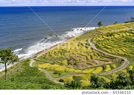 White Sea Senmaida in the Sea of Japan and Autumn White Sea Senmaida in the Sea of Japan and Autumn 65586310