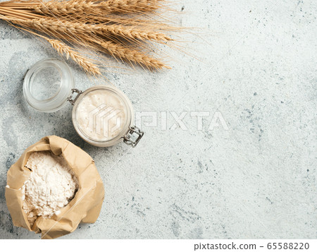 Wheat sourdough starter, top view, copy space 65588220