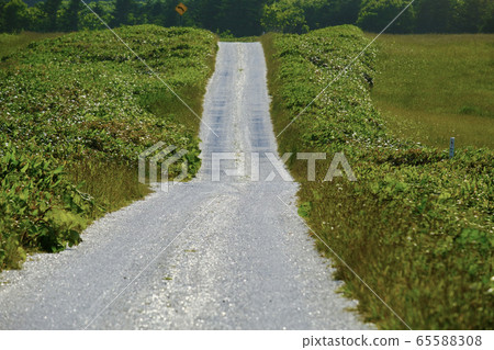 白色的路 白色的路 65588308