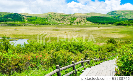 Scenery of Shinshu Yashimagahara Wetland (Yashima Wetland): June Scenery of Shinshu Yashimagahara Wetland (Yashima Wetland): June 65588745