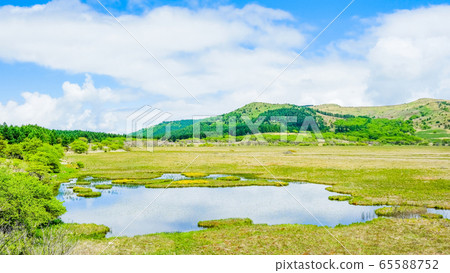 Scenery of Shinshu Yashimagahara Wetland (Yashima Wetland): June 65588752