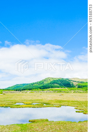 Scenery of Shinshu Yashimagahara Wetland (Yashima Wetland): June 65588753