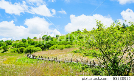 Scenery of Shinshu Yashimagahara Wetland (Yashima Wetland): June 65588955