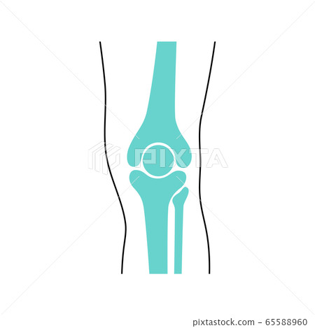 Knee Joint and meniscus anatomy 65588960