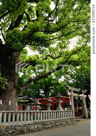 Itoga Inari Shrine [Itoga, Arita City, Wakayama Prefecture] 65589554