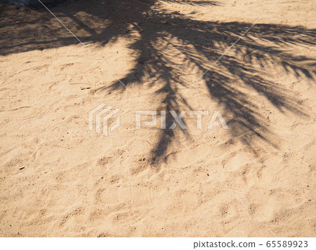Shadow of palm tree on brown sand, close up view Shadow of palm tree on brown sand, close up view 65589923