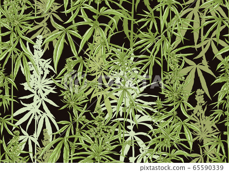 Hemp, Cannabis seamless pattern, background. 65590339