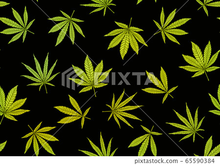 can pat 4 zz 65590384