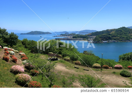 Azalea and Seto Inland Sea of Seto Park in Ondo 65590934