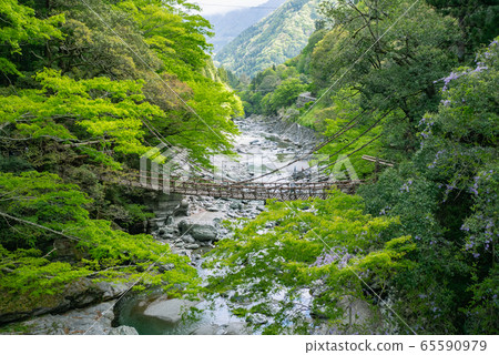 Izunokazura Bridge in Miyoshi City, Tokushima Prefecture Izunokazura Bridge in Miyoshi City, Tokushima Prefecture 65590979