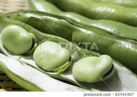 美味蠶豆（也稱為綠豆，堅果，豆類，大豆，小扁豆，學名：Vicia 65591407